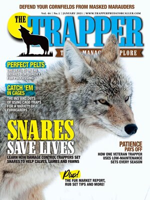 cover image of The Trapper